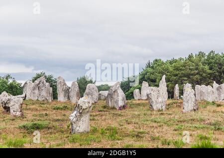 Menhir Felder in Carnac dnas der Morbihan in der Bretagne, Frankreich Stockfoto