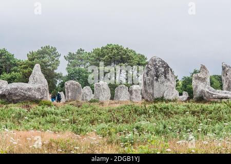 Menhir Felder in Carnac dnas der Morbihan in der Bretagne, Frankreich Stockfoto