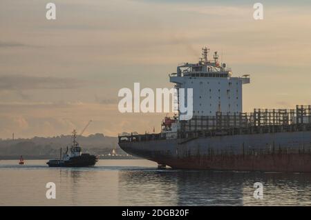 Ein Schlepper schleppt ein großes Containerschiff im Hafen von southampton Docks, uk Stockfoto