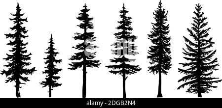 Set von Baum Silhouetten von verschiedenen Arten und Formen isoliert auf weißem Hintergrund. Abbildung. Stock Vektor