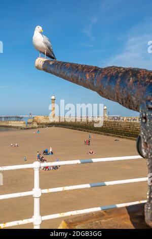 Blick auf Kanone mit Blick auf Whitby West Pier und Leuchtturm, Whitby, Yorkshire, England, Großbritannien, Europa Stockfoto