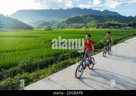 Zwei Kinder spielen und reiten Fahrräder zwischen Reisfeldern, im Mai Chau Tal, Vietnam Stockfoto