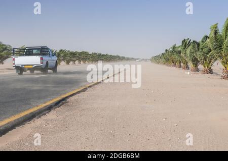 Sandsturm auf der Trans-Kalahari Autobahn zwischen Walvis Bay und Swakopmund, Namibia, Afrika. Stockfoto