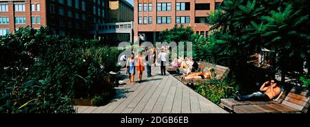 Touristen in einem erhöhten Park, High Line, New York City, New York State, USA Stockfoto
