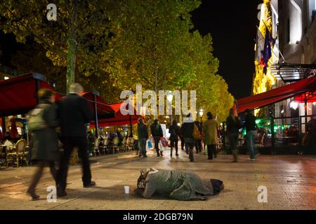 Frau bettelt auf der Straße, Champs Elysees, Paris, Ile-de-France, Frankreich Stockfoto