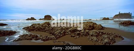 Felsformationen am Strand, Ruby Beach, Olympic National Park, Olympic Peninsula, Washington State, USA Stockfoto