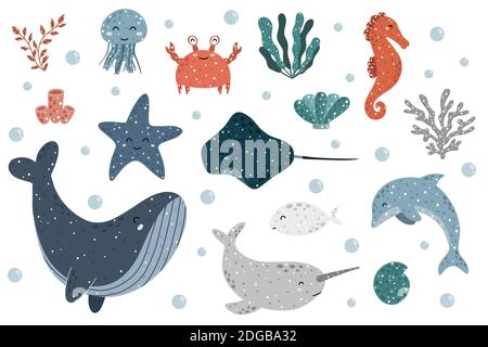 Niedliche Sammlung von Meerestieren mit: Quallen, Krabben, Algen, Seepolypen, Seepferdchen, Seesterne, Muschel, Meeresrochen, Delphin, Fisch, Wal, Narwal an Stock Vektor