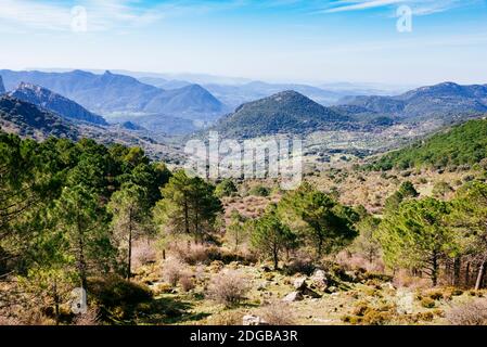 El Boyar Tal vom Bergpass von El Boyar - Puerto del Boyar gesehen. Das Boyar Tal ist der regenreichste Ort auf der Iberischen Halbinsel. Grazalema Stockfoto