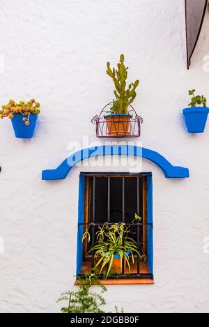 Detail, typisches Haus der weißen Dörfer mit Töpfen an der Fassade. Villaluenga del Rosario, Cádiz, Andalucía, Spanien, Europa Stockfoto