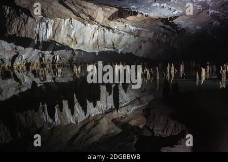 Son Doong Cave - Vietnam Stockfoto