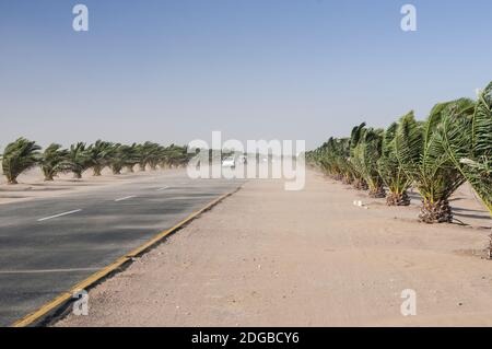 Sandsturm auf der Trans Kalahari Autobahn Stockfoto