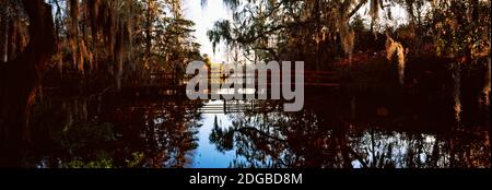 Spiegelung von Bäumen im Wasser, Magnolia Plantation and Gardens, Charleston, South Carolina, USA Stockfoto