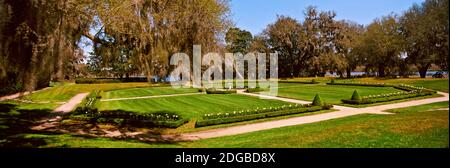 Spanischer Moos bedeckte Bäume in einem Garten, Middleton Place, Charleston, South Carolina, USA Stockfoto