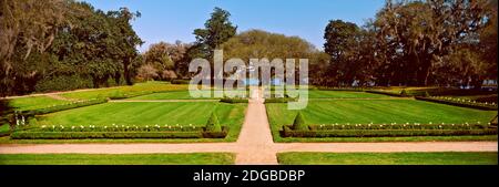 Bäume im Garten, Middleton Place, Charleston, South Carolina, USA Stockfoto