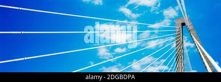 Cable-stay Bridge, Arthur Ravenel Jr. Bridge, Cooper River, Charleston, South Carolina, USA Stockfoto