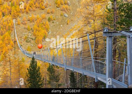Randa, Schweiz - 27. Oktober 2019: Die Charles Kuonen Hängebrücke im Mettertal, Wallis, Schweiz im bunten Herbst. Es ist das längste h Stockfoto