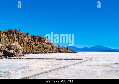 Blick auf Incahuasi Island oder Cactus Island in Uyuni Salt Flach Stockfoto