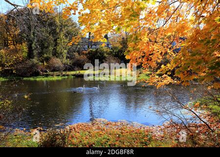 Der Mill Pond Setauket Long Island New York Stockfoto