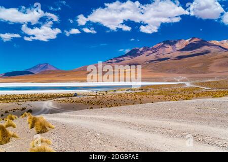 Malerische Landschaft der Laguna Canapa in sonnigen Tag mit der James s Flamingo Stockfoto