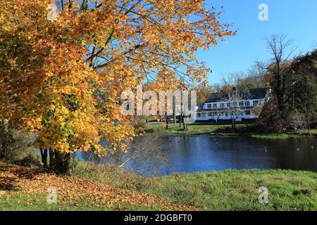 Der Mill Pond Setauket Long Island New York Stockfoto