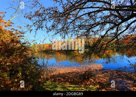 Frank Melville Memorial Park Setauket Long Island Stockfoto