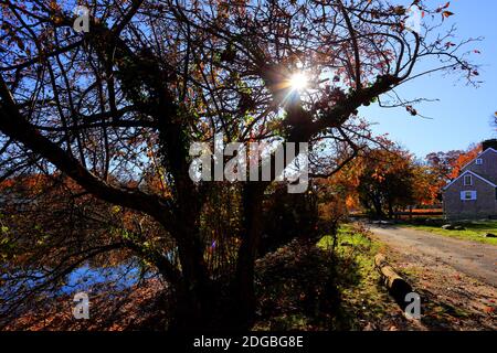 Frank Melville Memorial Park Setauket Long Island Stockfoto