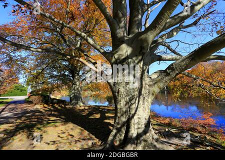 Frank Melville Memorial Park Setauket Long Island Stockfoto