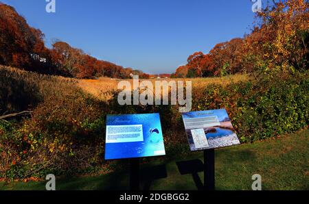 Frank Melville Memorial Park Setauket Long Island Stockfoto