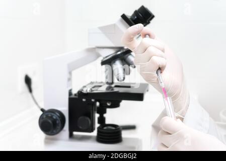 Wissenschaftler Füllen Von Reagenzglas Mit Pipette Im Labor. Nahaufnahme einer Wissenschaftlerin, die ein Reagenzglas mit Pipette befüllt Stockfoto