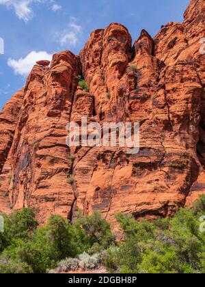 Klippen entlang des Red Canyon Trail, Snow Canyon State Park, Saint George, Utah. Stockfoto