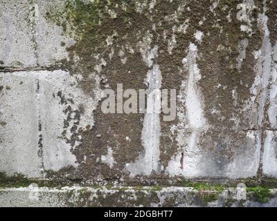 Verwitterte graue Betonwand mit Moos nützlich als Hintergrund Stockfoto