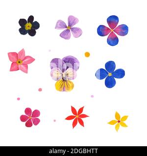 Blumen in verschiedenen Farben mit Aquarellen Stockfoto