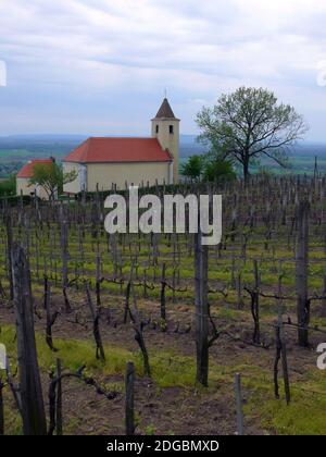 Römisch-katholische Kapelle der Hl. Margarete, Berg Somló (431 m), Ungarn, Magyarország, Europa Stockfoto