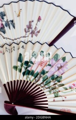 Stillleben mit Handheld-Fans, USA Stockfoto