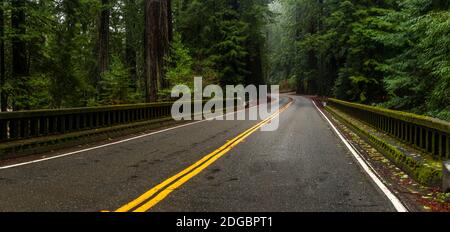 Elk Creek Bridge auf der Avenue of the Giants, die durch einen Redwood-Wald führt, Humboldt Redwoods State Park, Kalifornien, USA Stockfoto