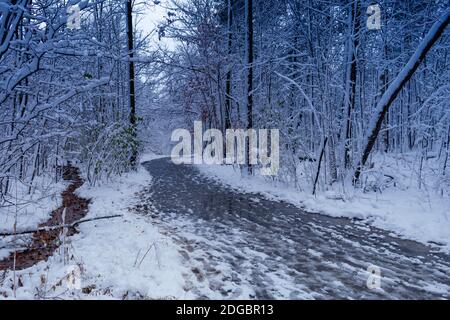 Schneebedeckter und schlammiger Pfad mit Bäumen, die mit Schnee bedeckt sind. Winterhintergrund mit Kopierbereich Stockfoto