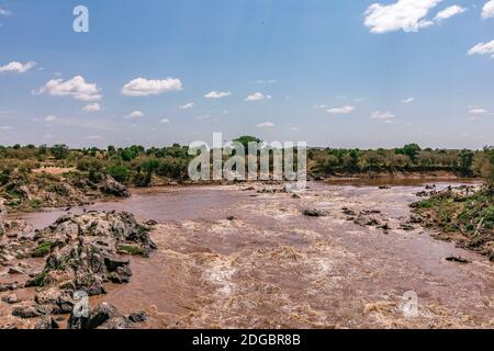 Wildtiere Im Maasai Mara National Reserve Park Im Narok County, Kenia Stockfoto