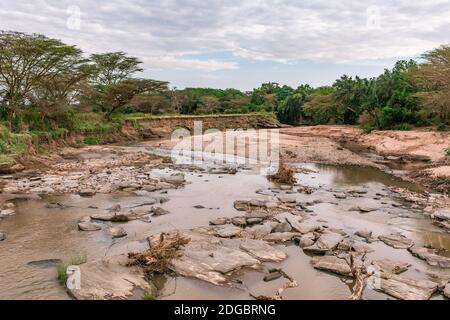 Wildtiere Im Maasai Mara National Reserve Park Im Narok County, Kenia Stockfoto