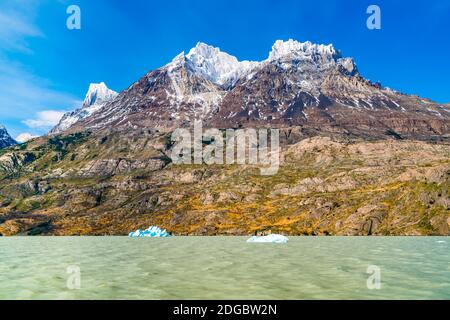 Blick auf den schönen Schneeberg mit Iceberg-Abbruch Der Grey Glacier schwimmt in Grey Lake Stockfoto