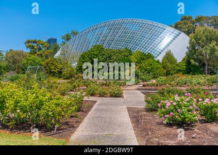 Zweihundertjähriges Konservatorium im Botanischen Garten in Adelaide, Australien Stockfoto