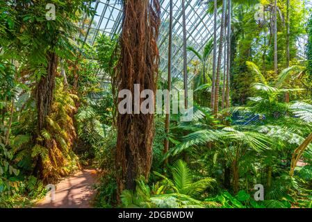 Zweihundertjähriges Konservatorium im Botanischen Garten in Adelaide, Australien Stockfoto