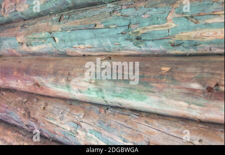 Holzwand aus Baumstämmen mit einem kleinen Schimmel, dass Sind mehr als 100 Jahre Stockfoto