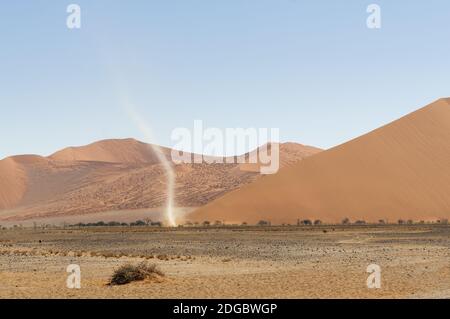 Tornado in der Namib Wüste, Namibia, Afrika. Stockfoto