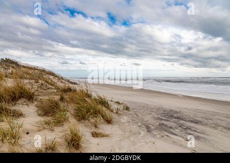 Landschaft der Dünen und des Ozeans am Town Line Beach, Wainscott, NY Stockfoto
