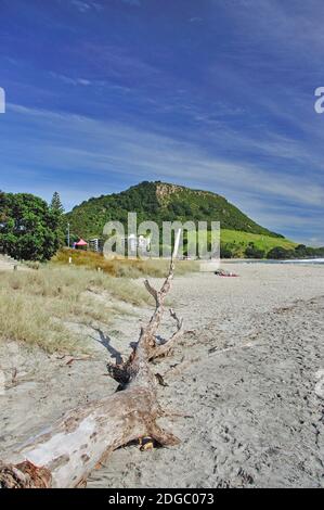 Blick auf den Strand, Mount Maunganui, Tauranga, Bay of Plenty, North Island, Neuseeland Stockfoto