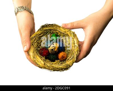 Hände halten ein Ostergeschenk mit einem Nest mit Kleine bunte Eier auf einem weißen isolierten Hintergrund Stockfoto