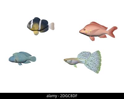 Mehrere Fischfarben auf weißem Hintergrund - 3d-Rendering Stockfoto