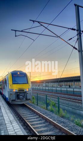 Brecht, Belgien - Juni 2019: Ein Pendlerzug im Bahnhof Noorderkempen in Brecht bei Sonnenaufgang Stockfoto