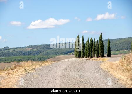 In San Quirico d'Orcia - Italien - am 2020. august - Zypressenreihe, besser bekannt als Cipressini, in der Landschaft der crete senesi Stockfoto