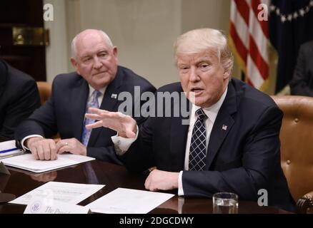 US-Präsident Donald Trump spricht, während Landwirtschaftsministerin Sonny Perdue am 25. April 2017 bei einem Rundtisch mit Bauern im Roosevelt Room des Weißen Hauses in Washington, DC, USA, zuschaut. Foto von Olivier Douliery/ABACAPRESS.COM Stockfoto